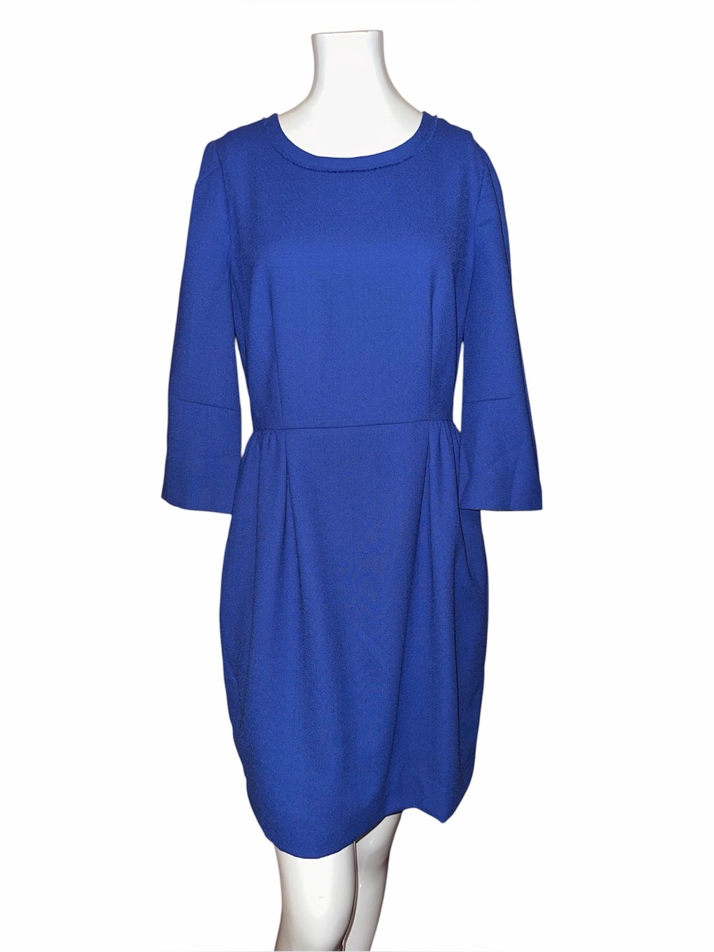 J Crew Teddie Dress